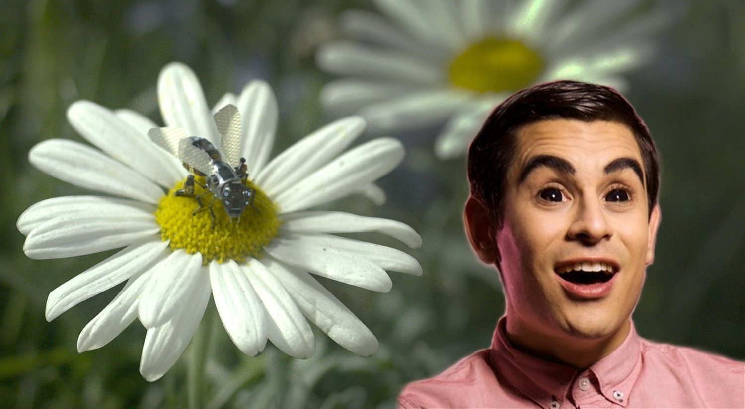 Sobre David Suárez, la censura, los límites del humor y las abejas de 'Black Mirror'