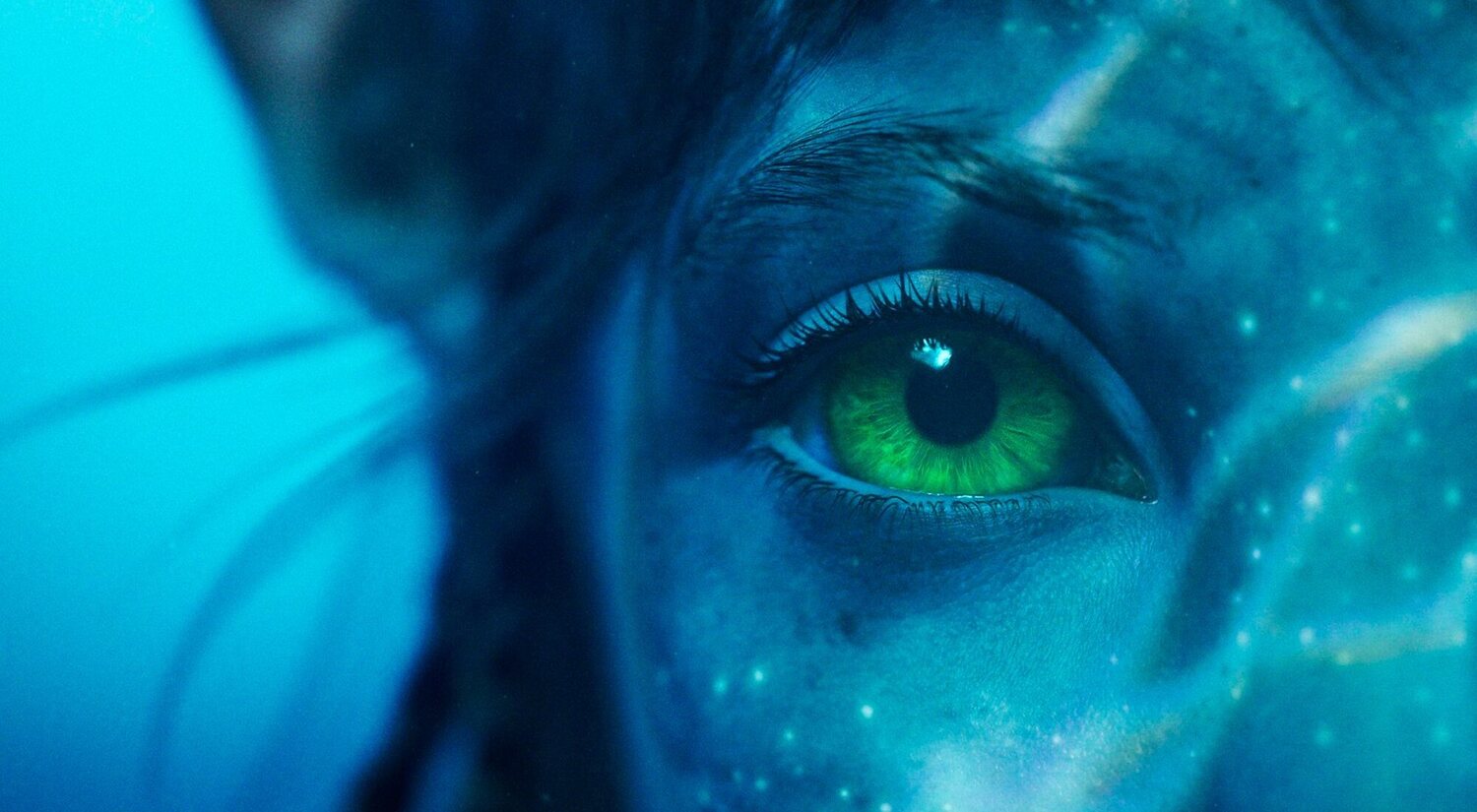 El 3D, de 'Avatar' a 'Avatar: el sentido del agua': cumbre, caída y resurrección de las 3 dimensiones