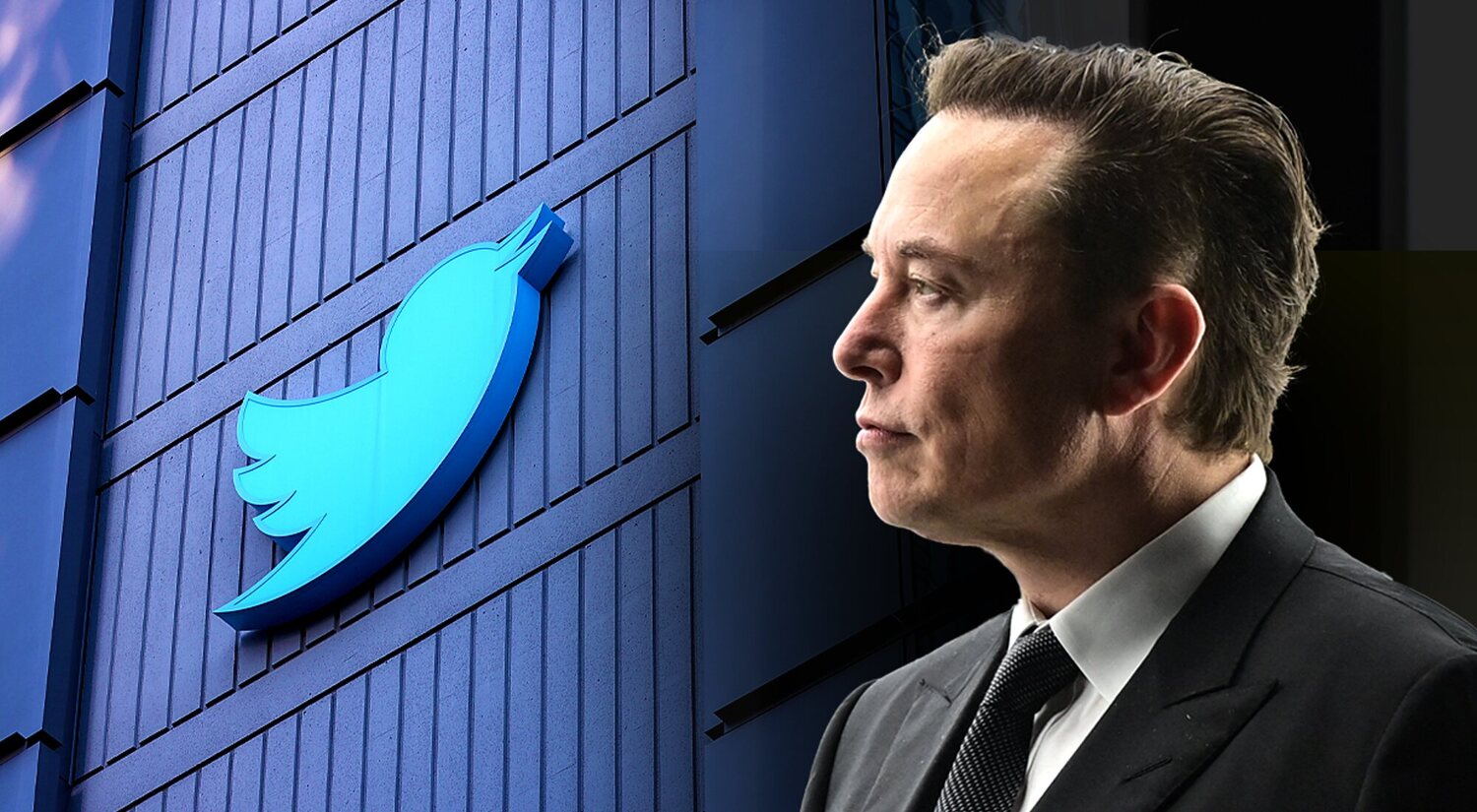 Los cambios de Twitter desde la compra de Elon Musk