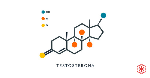 Fórmula química de la testosterona
