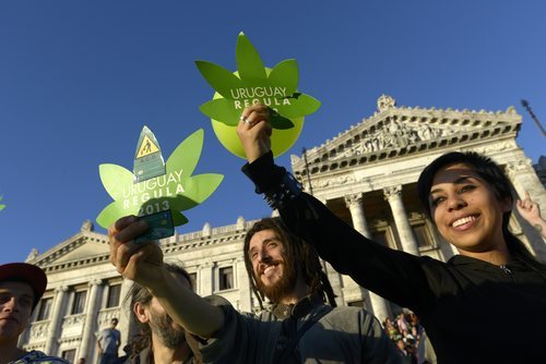 Uruguay se convirtió en el primer país en legalizar la marihuana. Lo hizo en 2013.