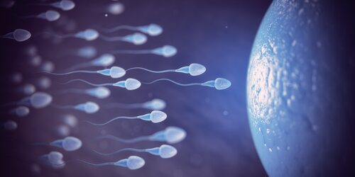 Con la nueva píldora los espermatozoides no tendrían la capacidad ni de acercarse tanto al óvulo
