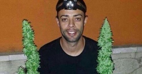 Dani Benitez retratado de forma comprometida con dos ramas de marihuana