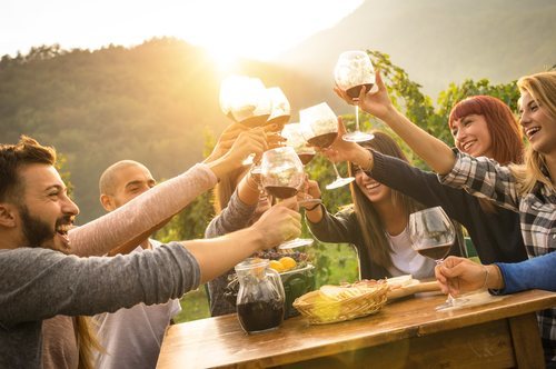 Las rutas del vino son una de las mejores experiencias naturales que ofrece el país