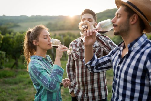 La cultura del vino y la cerveza está muy asentada en España