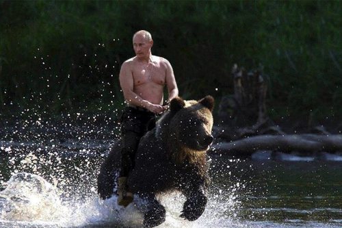Vladimir Putin cabalgando sobre un oso a pecho descubierto, y alguno se atreverá a decir que es un montaje