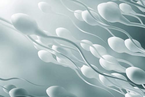 La inyección contiene un polímero capaz de frenar la producción de esperma.