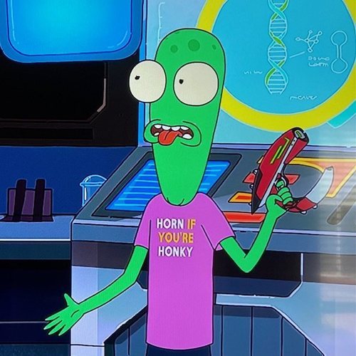 La camiseta de 'Horn if You're Honky' de Terry en 'Solar Opposites'.
