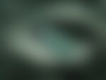 OnePlus 10 Pro en color bosque esmeralda, imagen de sustitución